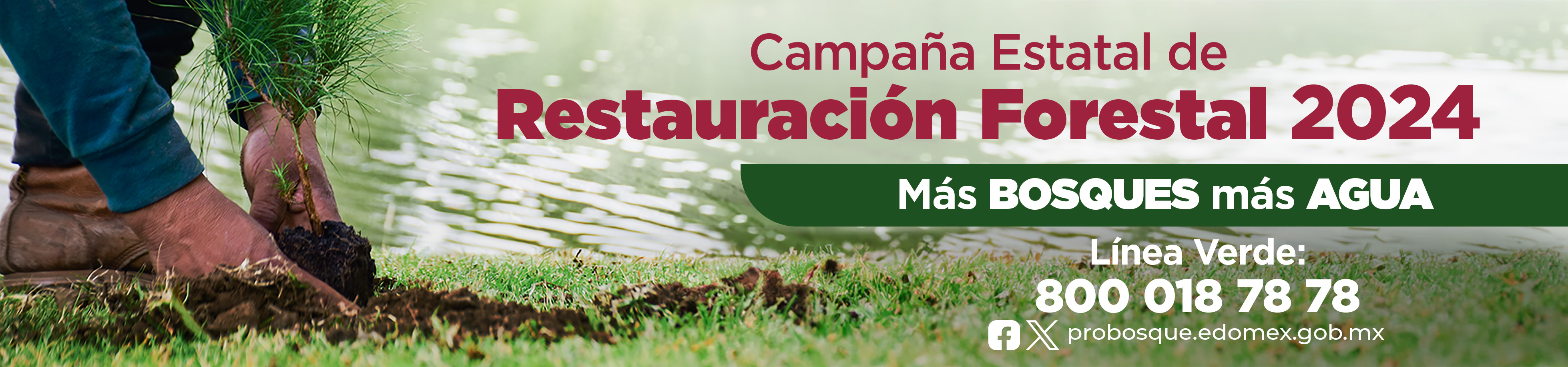 Invitación a la Campaña Estatal de Restauración Ftal. 2024